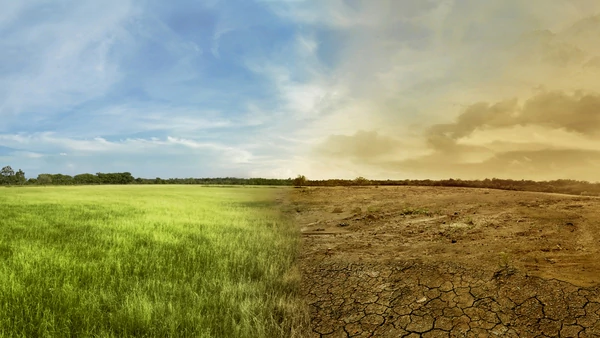 Cómo el cambio climático daña la salud de la población mundial