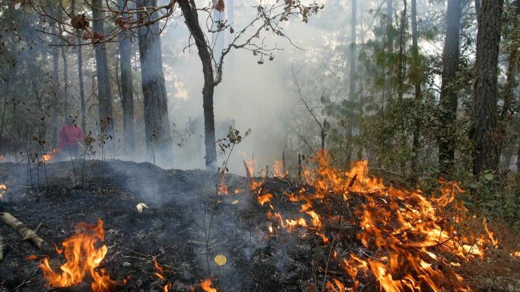 Santa Fe envía brigadistas a Córdoba