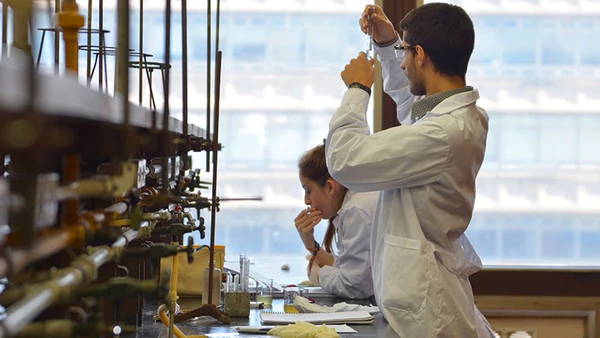 Científicos argentinos “reviven” proteínas extintas para entender su evolución
