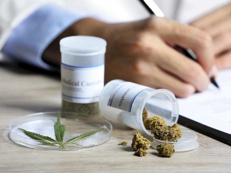 Santa Fe espera importar marihuana desde Uruguay
