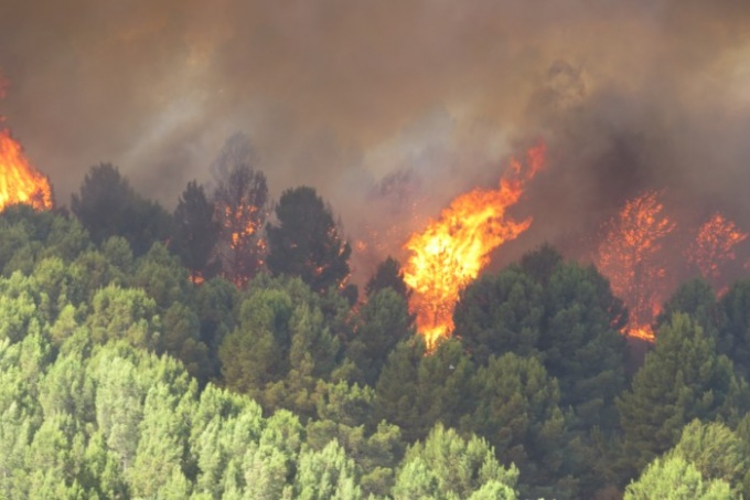 Voraz incendio afecta a 4 mil hectáreas en Sierra de la Ventana