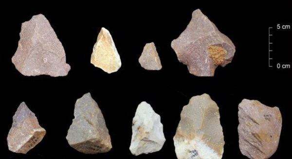 Hallaron herramientas paleolíticas en India que obligan a revisar la evolución humana