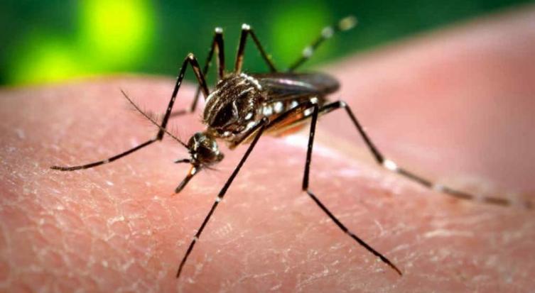 Activan protocolo por caso sospechoso de dengue