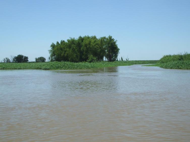Se tiró al río San Javier en su camión
