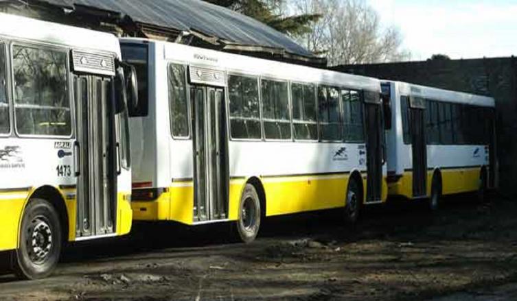 Transporte público: La ciudad renueva la flota de la línea 5 de colectivos 