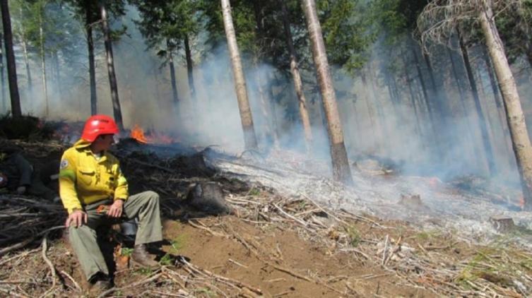 Sospechoso en la mira por incendios forestales cerca de El Bolsón