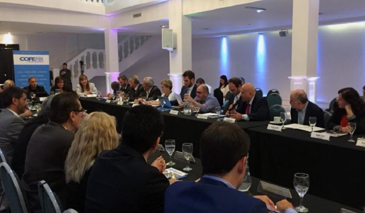 Producción Más Limpia del Consejo Federal de Medio Ambiente  