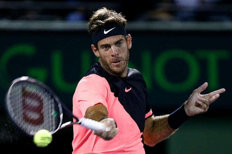 Del Potro, crítico: 