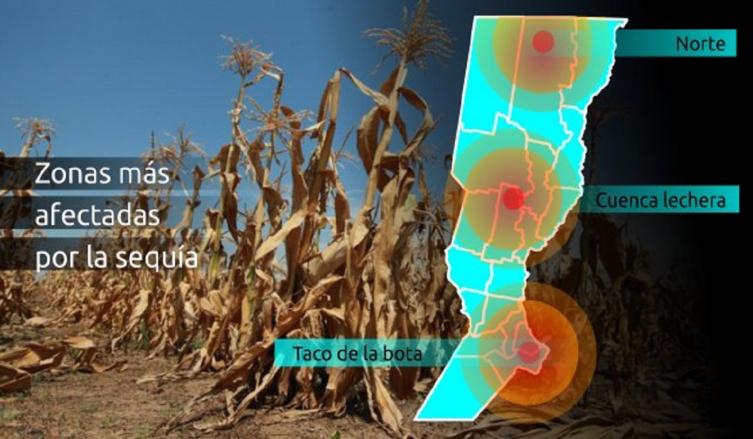 La provincia declarará la Emergencia Agropecuaria 