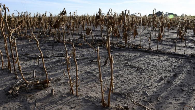 La provincia declarará la emergencia agropecuaria 