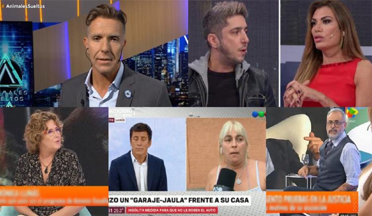 Tele comprimida: lo destacado de la semana