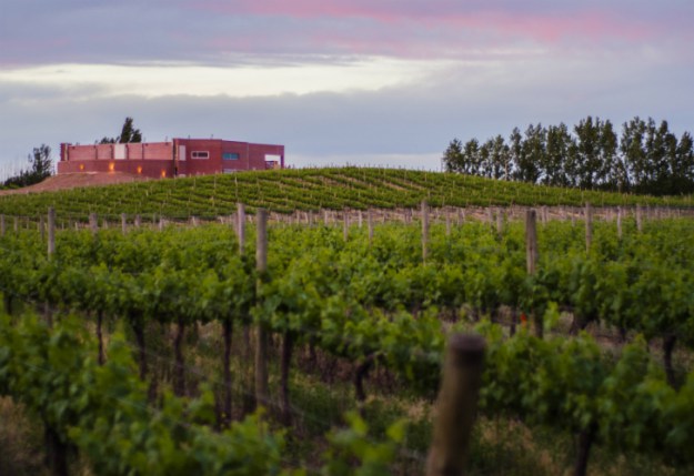 “Con vino es mejor”: cómo se vive la “Semana del Malbec” en todo el país