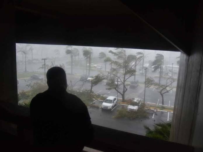 Nueva York: Una niña muere por caída de árbol durante tormenta