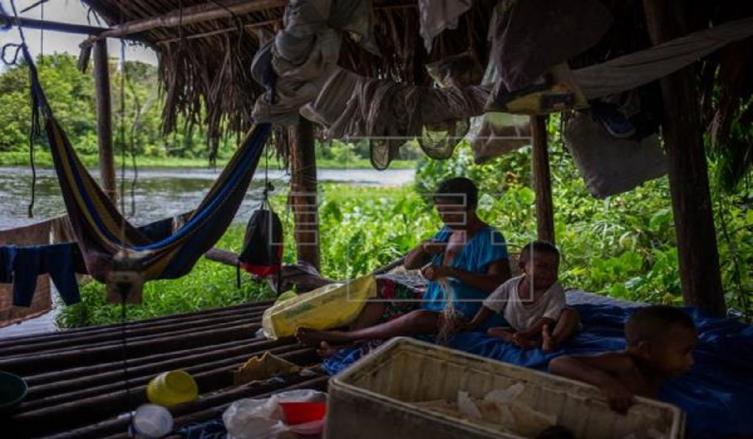 Los indígenas venezolanos que resisten la crisis debajo de un puente