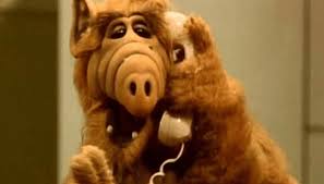 Vuelve ALF: ¡mirá cómo lucen hoy los personajes!