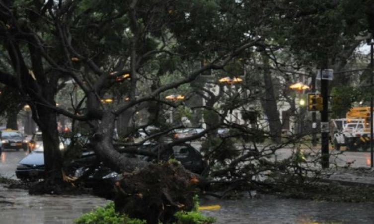 Destrozos y voladuras de techos por el temporal de viento que azotó a la región rosarina