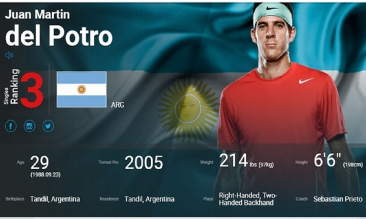 Es oficial: Juan Martín del Potro es el número tres del ranking ATP