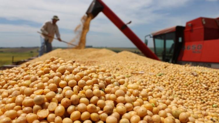 Antes de la suba de las retenciones, el Gobierno suspendió la exportación de soja