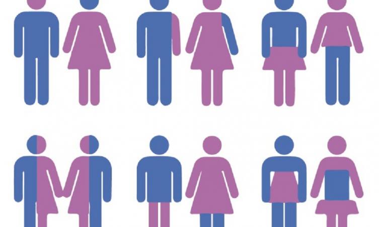El 90% de las carreras de Comunicación no incluye contenidos obligatorios sobre temas de género