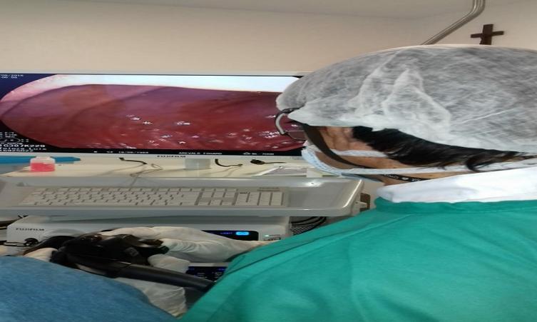  Nuevo servicio de Endoscopia Digestiva  
