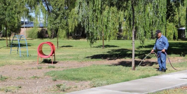 Piden cumplir con la Ordenanza de “Placeros”