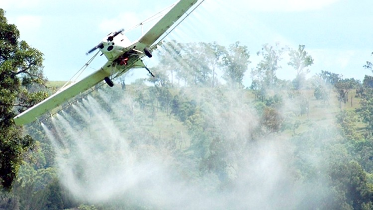 Estados Unidos prohíbe al insecticida de Dow más usado en el agro argentino