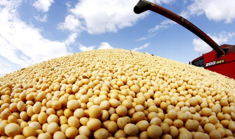 Santa Fe exportó un 74 por ciento menos de soja
