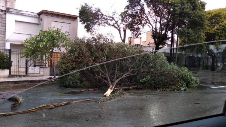 Vientos de hasta 85 Km/h causan destrozos en Córdoba