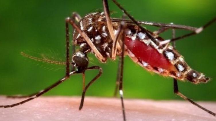 Primer caso de dengue en la ciudad