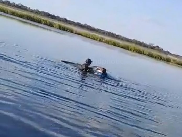 Chaco: la camioneta de un intendente se hundió en un campo inundado 