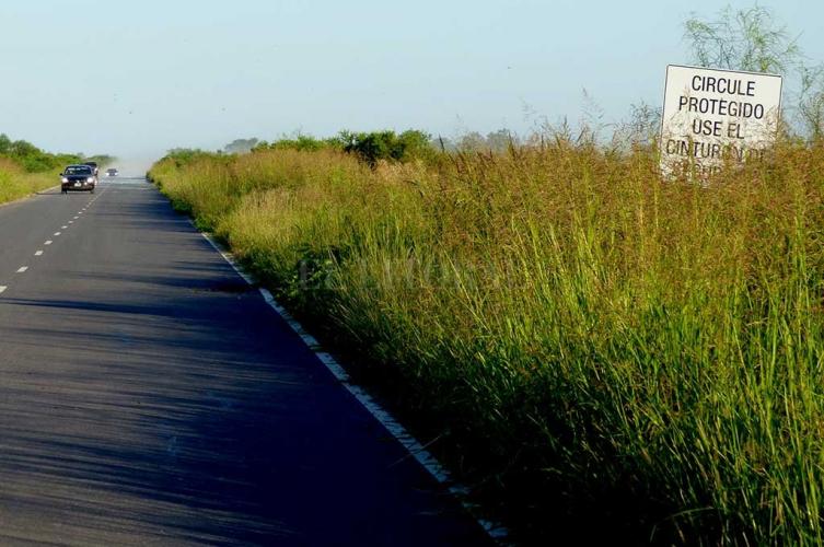 Un adolescente de 14 años perdió la vida en Emilia