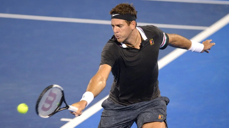 Del Potro le presentó batalla a sus problemas físicos pero perdió y se despidió de Delray Beach