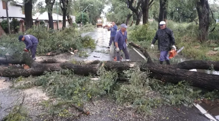 La tormenta causó la caída de árboles y afectó el servicio eléctrico