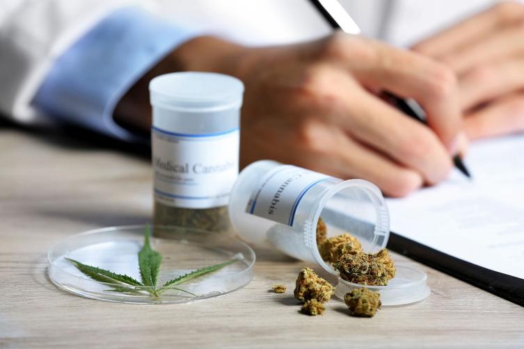 Desde la Red Cannabica piden que se agilice la elaboración del aceite medicinal