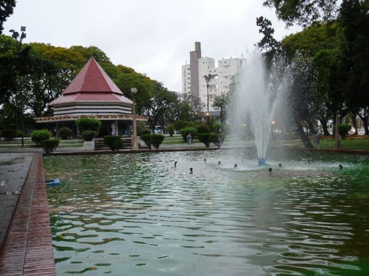 Viruela, piojos y parásitos en las aves del Palomar