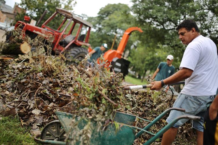 Ya se trasladaron mil toneladas de ramas y árboles caídos