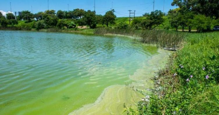 Piden informes técnicos sobre las condiciones del lago