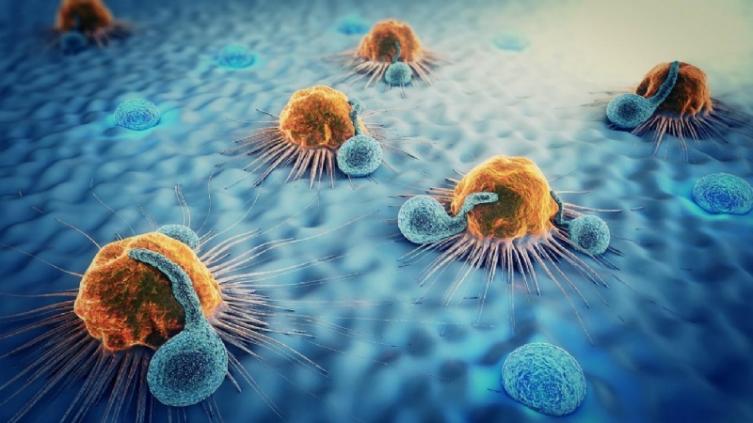 Desarrollaron un fármaco que bloquea un gen clave en el cáncer