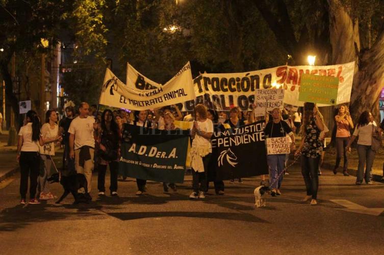 Movilización para pedir por los derechos del animal