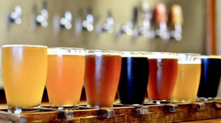 Curso para aprender a hacer cerveza artesanal