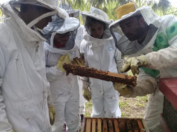 Seleccionaron cinco proyectos de “Iniciativas Sustentables”