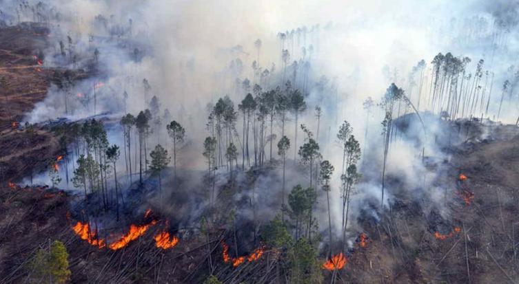 Alerta extrema por riesgo de incendios forestales en Córdoba