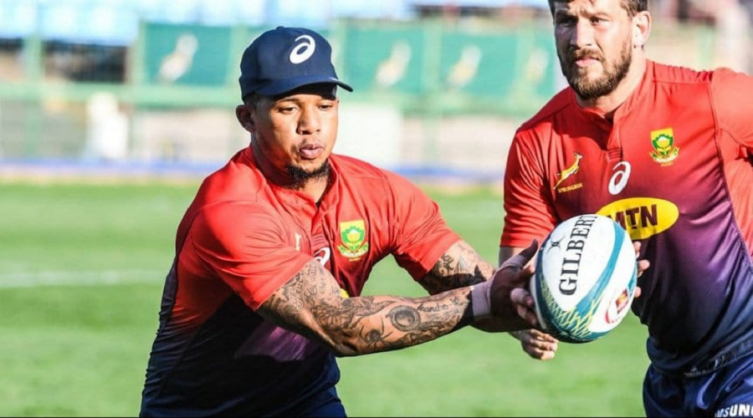 Springboks cambiará todo el equipo para jugar ante Los Pumas