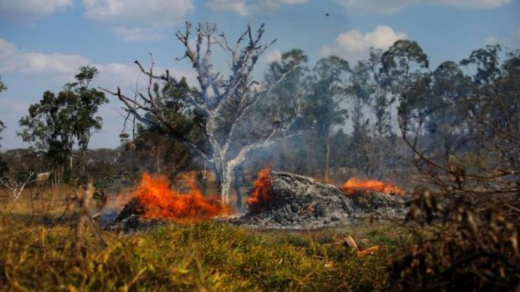 Macron quiere que el incendio del Amazonas se trate en el G20