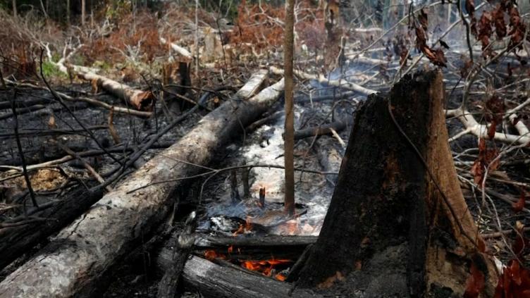 El incendio en el Amazonas fue calificado como una 