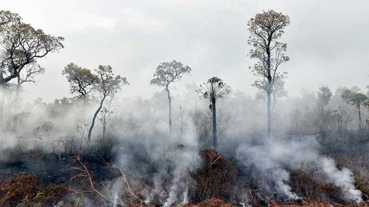 Francia envía equipos de bomberos a Bolivia para luchar contra los incendios