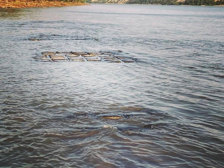 Por la bajante del Paraná quedó a la vista parte del túnel subfluvial