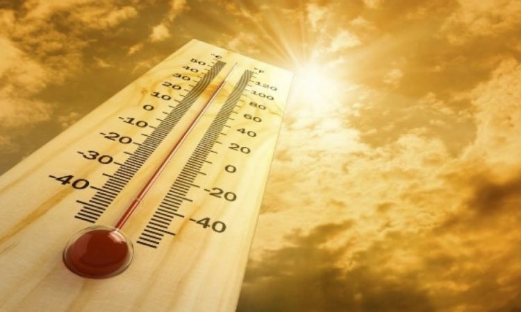 Alerta: advierten que se vienen olas de calor en toda América del Sur