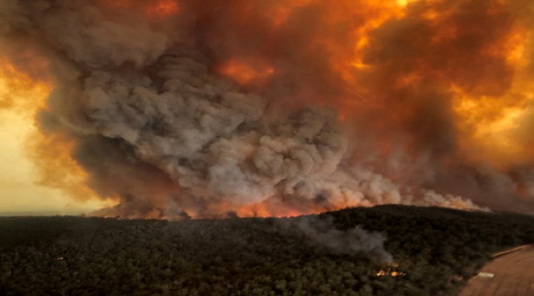 Devastadores incendios en Australia: el fuego ya mató 19 personas y 500 millones de animales