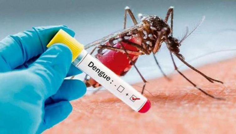 Registran 252 casos de dengue en la provincia de Córdoba